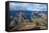 View over the Waimea Canyon, Kauai, Hawaii, United States of America, Pacific-Michael Runkel-Framed Stretched Canvas