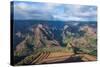 View over the Waimea Canyon, Kauai, Hawaii, United States of America, Pacific-Michael Runkel-Stretched Canvas