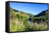 View over the Whanganui River in the Lush Green Countryside, Whanganui River Road, North Island-Michael Runkel-Framed Stretched Canvas