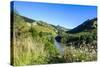 View over the Whanganui River in the Lush Green Countryside, Whanganui River Road, North Island-Michael Runkel-Stretched Canvas