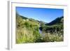 View over the Whanganui River in the Lush Green Countryside, Whanganui River Road, North Island-Michael Runkel-Framed Photographic Print