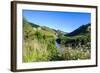 View over the Whanganui River in the Lush Green Countryside, Whanganui River Road, North Island-Michael Runkel-Framed Photographic Print