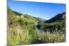 View over the Whanganui River in the Lush Green Countryside, Whanganui River Road, North Island-Michael Runkel-Mounted Photographic Print