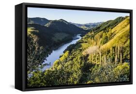 View over the Whanganui River in the Lush Green Countryside-Michael-Framed Stretched Canvas