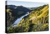 View over the Whanganui River in the Lush Green Countryside-Michael-Stretched Canvas