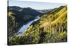 View over the Whanganui River in the Lush Green Countryside-Michael-Stretched Canvas