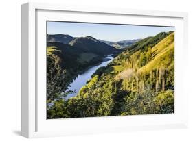 View over the Whanganui River in the Lush Green Countryside-Michael-Framed Photographic Print