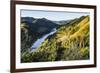 View over the Whanganui River in the Lush Green Countryside-Michael-Framed Photographic Print