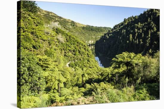 View over the Whanganui River in the Lush Green Countryside-Michael-Stretched Canvas