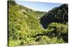 View over the Whanganui River in the Lush Green Countryside-Michael-Stretched Canvas