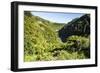 View over the Whanganui River in the Lush Green Countryside-Michael-Framed Photographic Print