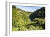 View over the Whanganui River in the Lush Green Countryside-Michael-Framed Photographic Print