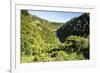 View over the Whanganui River in the Lush Green Countryside-Michael-Framed Photographic Print