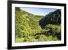 View over the Whanganui River in the Lush Green Countryside-Michael-Framed Photographic Print