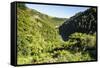 View over the Whanganui River in the Lush Green Countryside-Michael-Framed Stretched Canvas