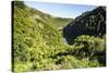 View over the Whanganui River in the Lush Green Countryside-Michael-Stretched Canvas