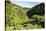 View over the Whanganui River in the Lush Green Countryside-Michael-Stretched Canvas