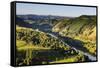 View over the Whanganui River in the Lush Green Countryside-Michael-Framed Stretched Canvas