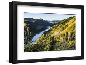 View over the Whanganui River in the Lush Green Countryside-Michael-Framed Photographic Print