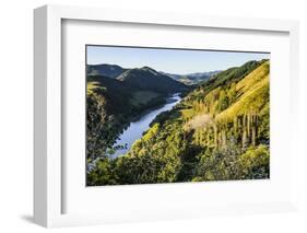 View over the Whanganui River in the Lush Green Countryside-Michael-Framed Photographic Print