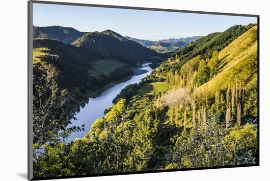 View over the Whanganui River in the Lush Green Countryside-Michael-Mounted Photographic Print