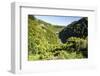 View over the Whanganui River in the Lush Green Countryside-Michael-Framed Photographic Print