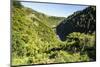 View over the Whanganui River in the Lush Green Countryside-Michael-Mounted Photographic Print