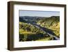 View over the Whanganui River in the Lush Green Countryside-Michael-Framed Photographic Print