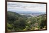 View over the wine region of the Hunter Valley, New South Wales, Australia, Pacific-Michael Runkel-Framed Photographic Print