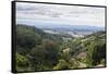 View over the wine region of the Hunter Valley, New South Wales, Australia, Pacific-Michael Runkel-Framed Stretched Canvas