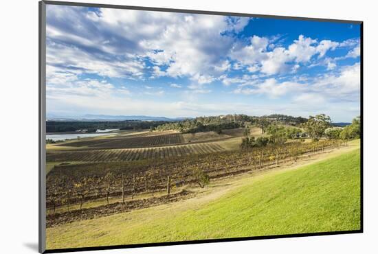 View over the wine region of the Hunter Valley, New South Wales, Australia, Pacific-Michael Runkel-Mounted Photographic Print