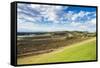 View over the wine region of the Hunter Valley, New South Wales, Australia, Pacific-Michael Runkel-Framed Stretched Canvas