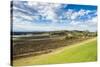 View over the wine region of the Hunter Valley, New South Wales, Australia, Pacific-Michael Runkel-Stretched Canvas