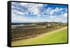 View over the wine region of the Hunter Valley, New South Wales, Australia, Pacific-Michael Runkel-Framed Stretched Canvas