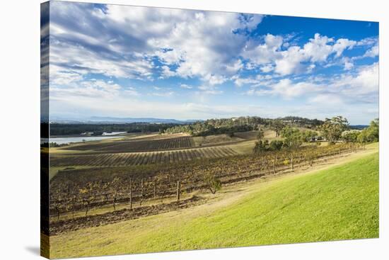 View over the wine region of the Hunter Valley, New South Wales, Australia, Pacific-Michael Runkel-Stretched Canvas