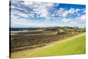 View over the wine region of the Hunter Valley, New South Wales, Australia, Pacific-Michael Runkel-Stretched Canvas