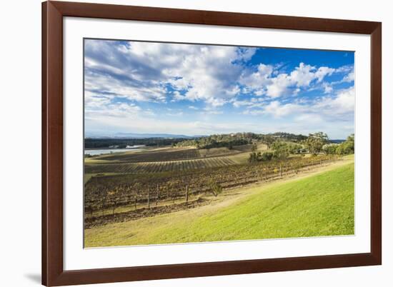 View over the wine region of the Hunter Valley, New South Wales, Australia, Pacific-Michael Runkel-Framed Photographic Print