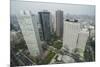 View over Tokyo from the town hall, Shinjuku, Tokyo, Japan, Asia-Michael Runkel-Mounted Photographic Print