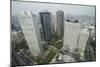 View over Tokyo from the town hall, Shinjuku, Tokyo, Japan, Asia-Michael Runkel-Mounted Photographic Print