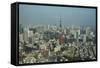 View over Tokyo with the Tokyo Tower, from the Mori Tower, Roppongi Hills, Tokyo, Japan, Asia-Michael Runkel-Framed Stretched Canvas