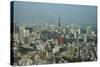 View over Tokyo with the Tokyo Tower, from the Mori Tower, Roppongi Hills, Tokyo, Japan, Asia-Michael Runkel-Stretched Canvas