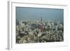 View over Tokyo with the Tokyo Tower, from the Mori Tower, Roppongi Hills, Tokyo, Japan, Asia-Michael Runkel-Framed Photographic Print