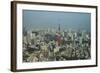 View over Tokyo with the Tokyo Tower, from the Mori Tower, Roppongi Hills, Tokyo, Japan, Asia-Michael Runkel-Framed Photographic Print