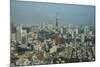 View over Tokyo with the Tokyo Tower, from the Mori Tower, Roppongi Hills, Tokyo, Japan, Asia-Michael Runkel-Mounted Photographic Print