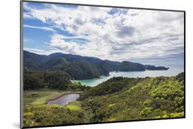 View over Torrent Bay from the Abel Tasman Coast Track, Abel Tasman National Park, near Marahau, Ta-Ruth Tomlinson-Mounted Photographic Print