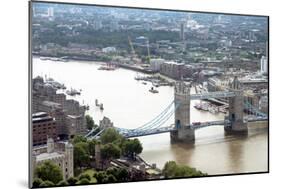 View over Tower Bridge from the Sky Garden, London, EC3, England, United Kingdom, Europe-Ethel Davies-Mounted Photographic Print