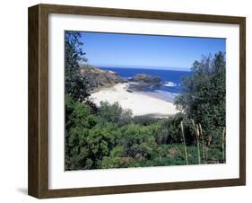 View Over Trees to Trbeach and Bushranger Bay, Mornington Peninsula, Victoria, Australia-Richard Nebesky-Framed Photographic Print