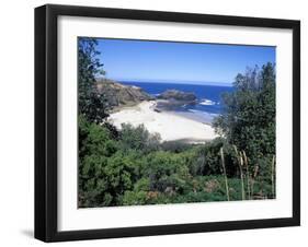 View Over Trees to Trbeach and Bushranger Bay, Mornington Peninsula, Victoria, Australia-Richard Nebesky-Framed Photographic Print