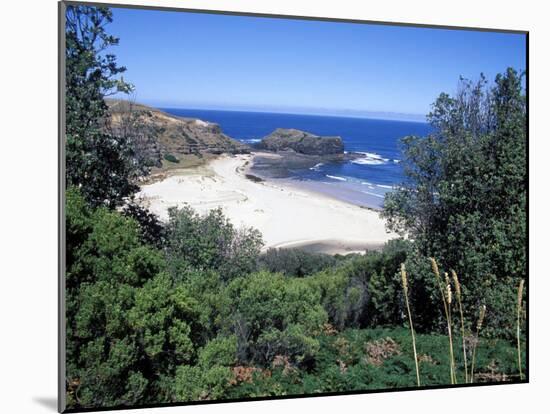 View Over Trees to Trbeach and Bushranger Bay, Mornington Peninsula, Victoria, Australia-Richard Nebesky-Mounted Photographic Print