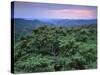 View over Trees Towards Badlands at Sunset, Vashlovani National Park, Georgia, May 2008-Popp-Stretched Canvas